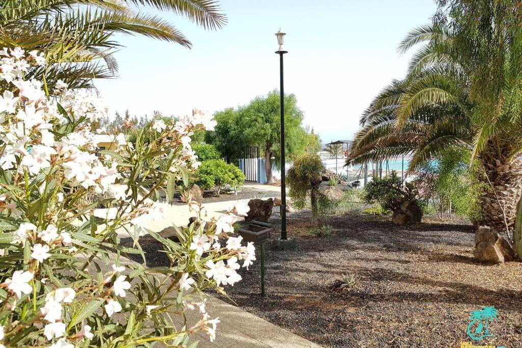 Appartement Bouganville Rez-De-Chaussee Wifi Costa De Antigua Exteriör bild