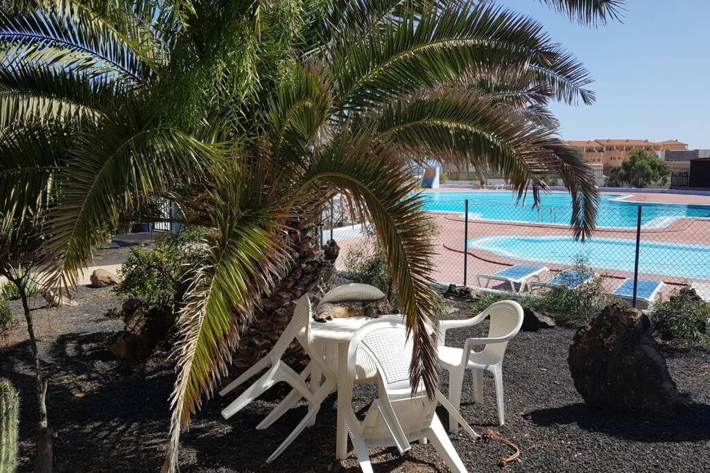 Appartement Bouganville Rez-De-Chaussee Wifi Costa De Antigua Exteriör bild